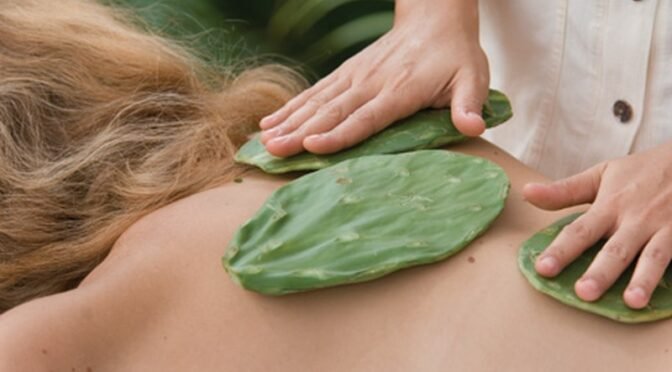 Massage body mang lại những lợi ích gì cho cơ thể và sức khoẻ con người?